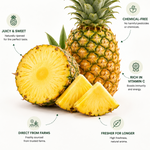 A promotional product graphic for pineapple. A whole pineapple, a halved pineapple showing the yellow flesh, and two pineapple wedges are arranged on a white background with marketing text and icons about sweetness, chemical-free quality, vitamin C, farm-direct sourcing, and freshness.