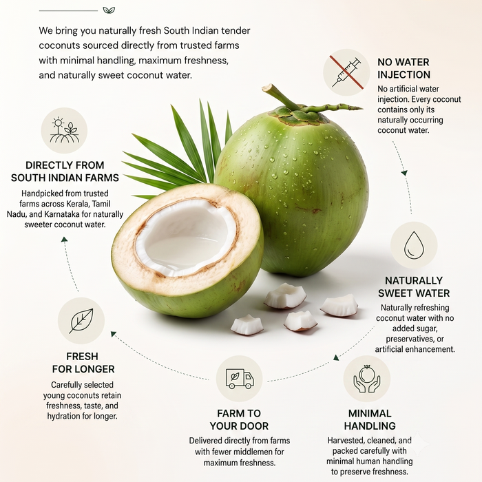 An infographic poster for a coconut water product, featuring a cut-open green coconut with a white halved coconut inside, surrounded by text callouts about sourcing, water treatment, sweetness, and handling. The top text reads 'FROM SOUTH INDIAN FARMS TO YOUR HOME.