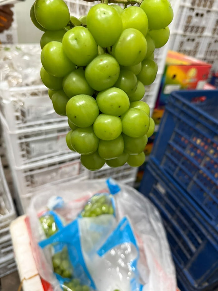 Crystal Sunshine Rose Muscat green grapes multiple bunches in box