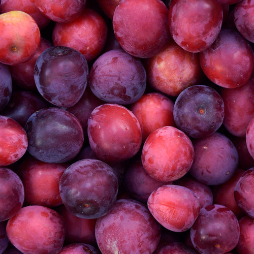 A close-up, top-down view of a pile of fresh plums with varying shades of deep red, purple, and pinkish-red tones.